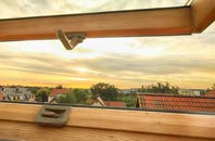 rated Peak Dale roof window companies